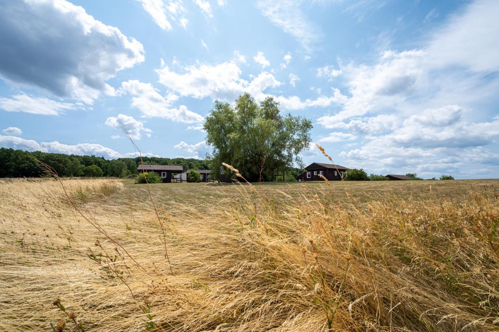 Camping Les Vosges Du Nord Oberbronn ภายนอก รูปภาพ